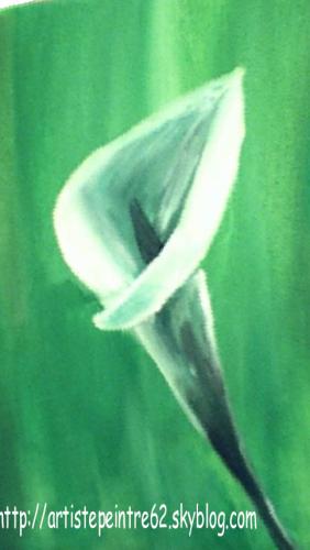 Ar�me sur fond vert 